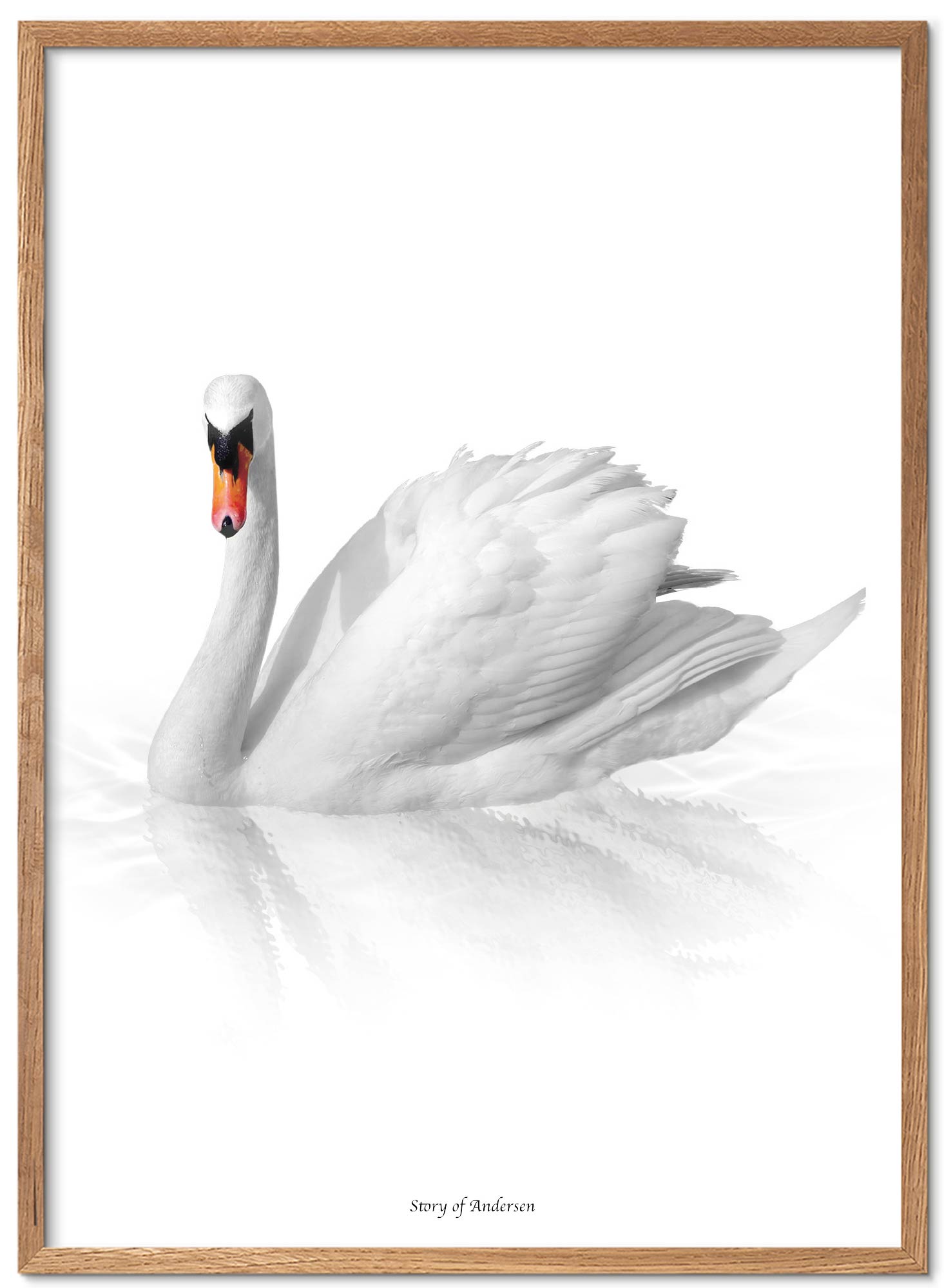 Poster – H.C. Andersens Signatur – Den fula ankungen – Vit bakgrund