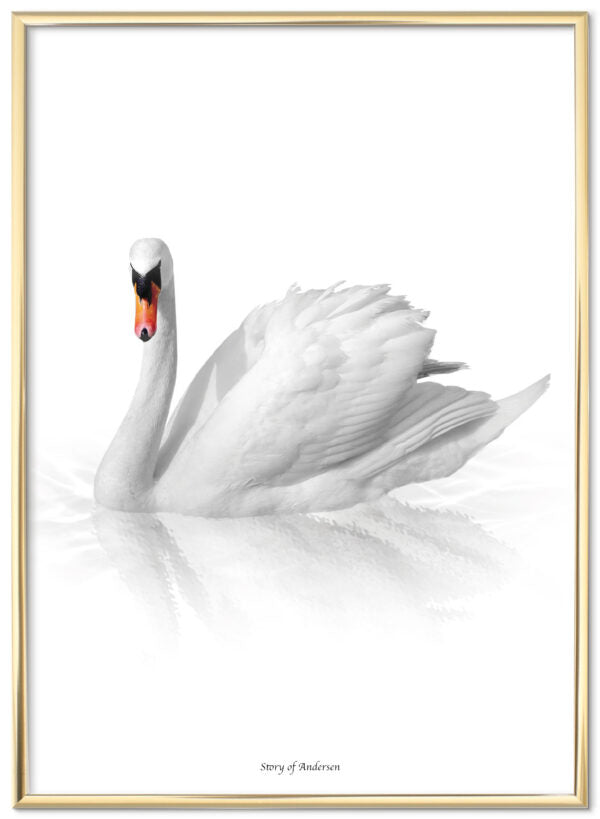 Poster – H.C. Andersens Signatur – Den fula ankungen – Vit bakgrund